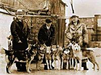 http://www.polardogs.org/content/sh/200/sep-tserko_wheeler1.jpg